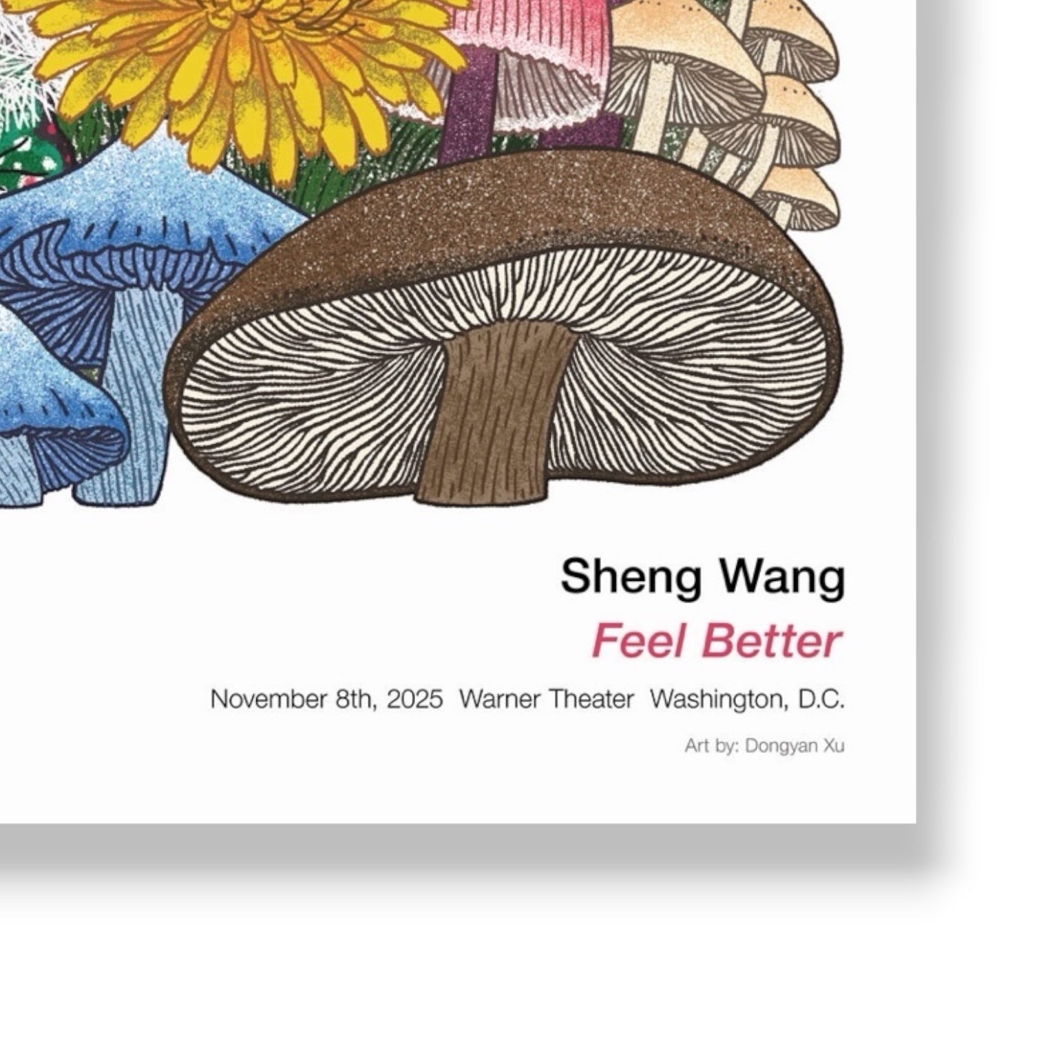 Sheng Wang 18x24 Poster (Autographed Available)￼ **WASHINGTON DC NETFLIX EXCLUSIVE**